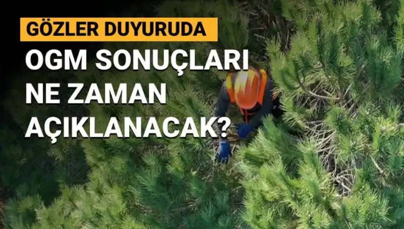 OGM 3 Bin 477 Sözleşmeli Personel Alımı Başvuru Sonuçları Ne Zaman Açıklanacak?