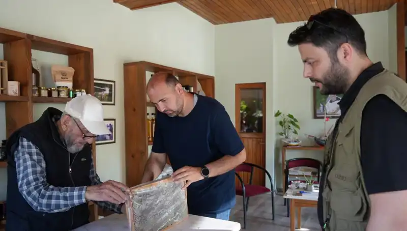 Hem Şifa Hem Zehir: 1 Çay Kaşığını Geçmeyin