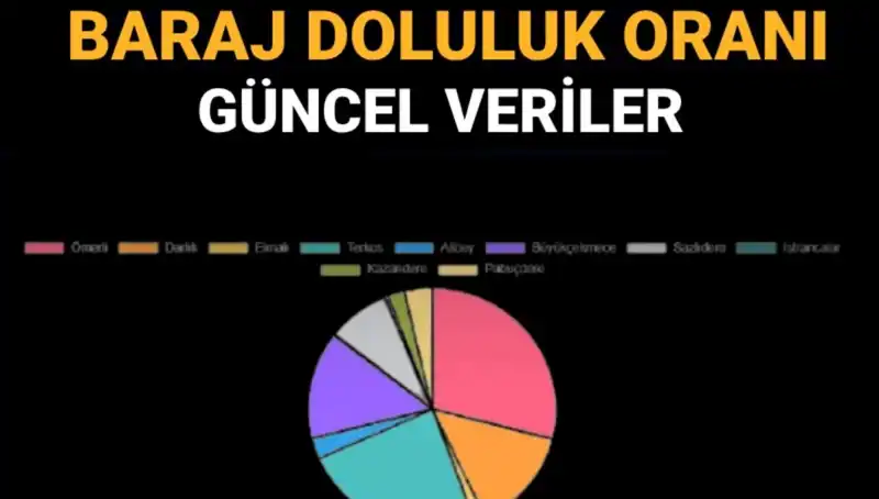 İstanbul Baraj Doluluk Oranları: Güncel Verilerle Su Krizi Tehditi