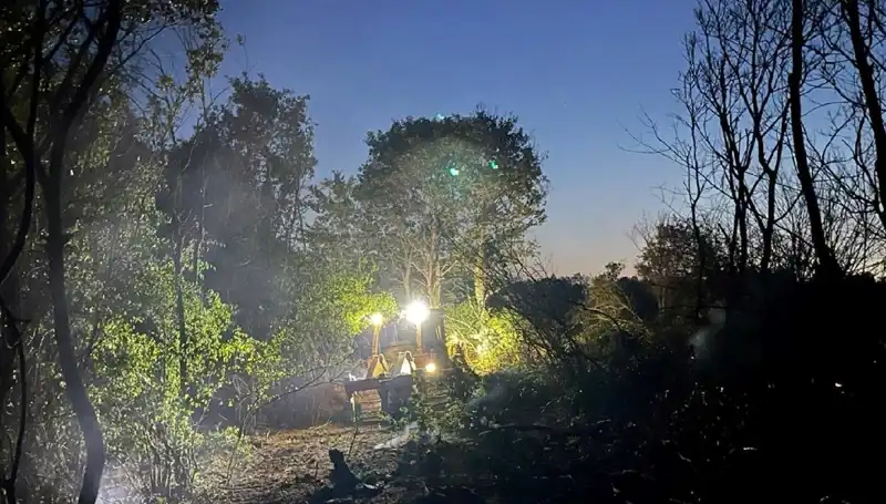 Edirne'deki Orman Yangını Kontrol Altına Alındı: Son Gelişmeler Neler?