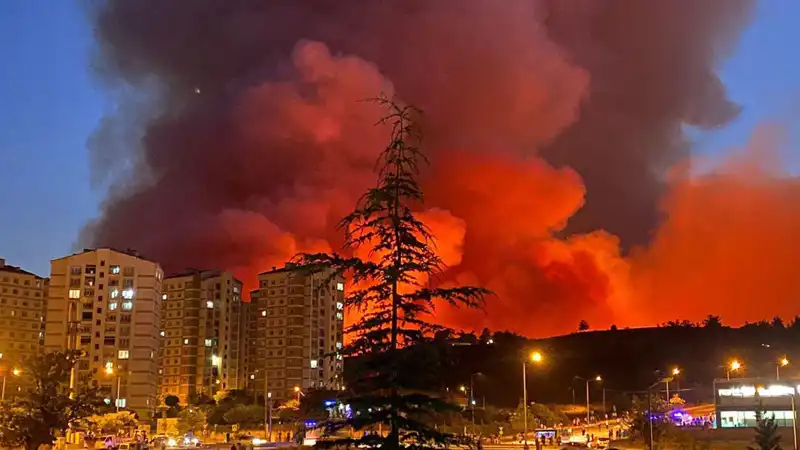 Bursa’da Sıcak Havalarda Artan Yangınlar, Şehri Korkutuyor