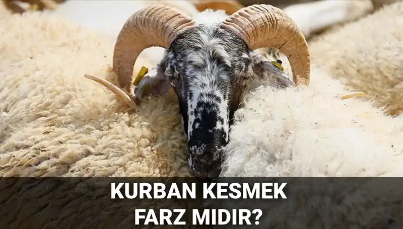 Kurban Kesmek Farz mı? İşte Diyanet’in Görüşü ve Şartları