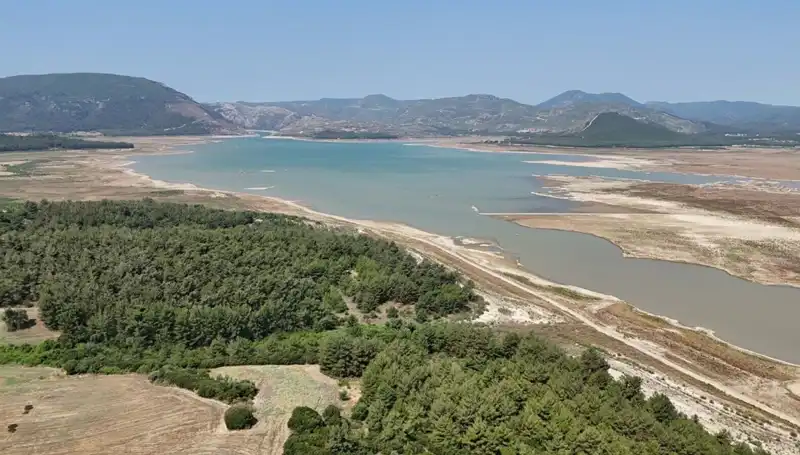 İzmir’de Tehlike Çanları Çalıyor: Tarım Ürünlerinde Yüzde 50 Düşüş!