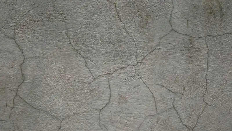 Canlı Beton İcadı: Geleceğin İnşaat Malzemesi Geliyor