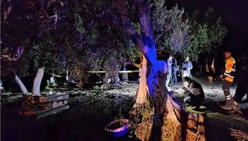 Çiftlikteki Baltalı Vahşet Olayında Yeni Gelişme: Tek Tutuklama
