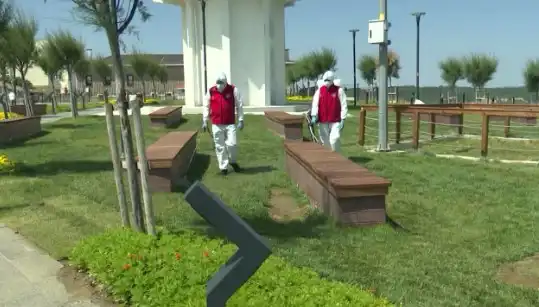 Kene Tehdidi Artıyor: Halka Açık Alanlarda İlaçlama Başladı
