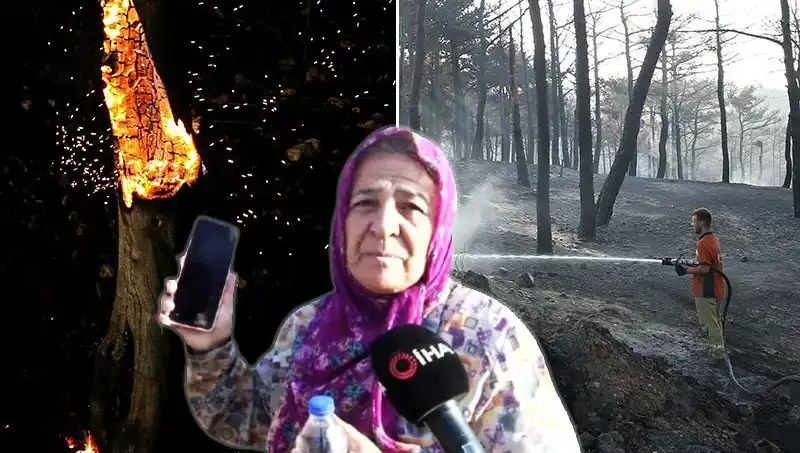 Çanakkale Orman Yangınları Kontrol Altına Alındı: Şimdi Neler Olacak?