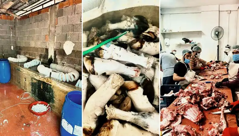 Adana'da Yüzlerce Kilo Kaçak Paça Ele Geçirildi: Sağlık Tehlikesi Mi?