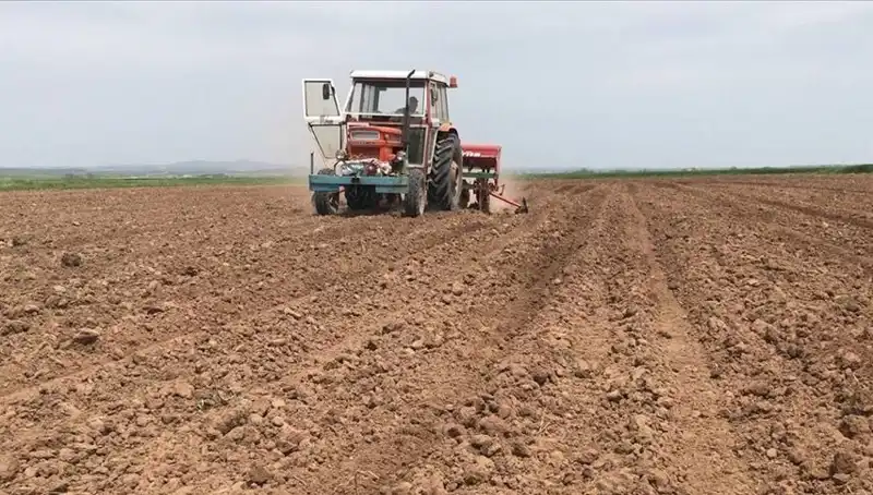 Son 35 Yılın En Kurak Mart'ı: Yağışlar Yüzde 59 Düştü!