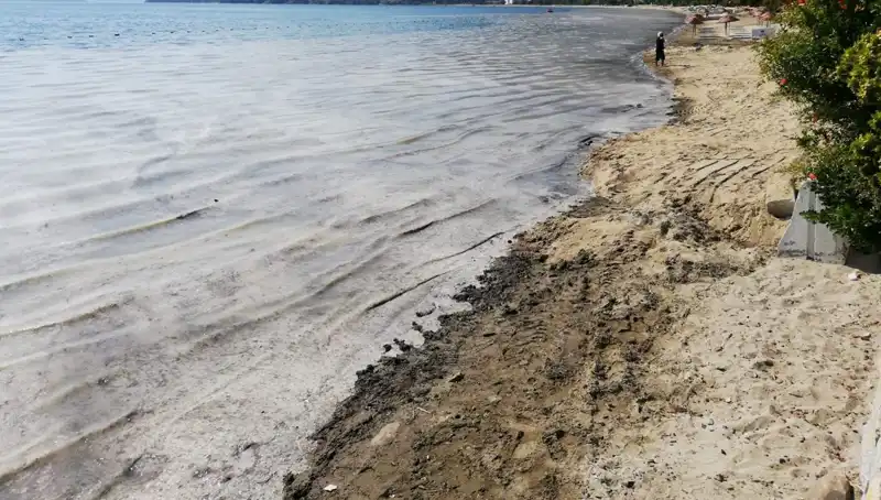 Müsilajla Mücadelede Son Durum: 268 İşletme Faaliyetlerini Durdurdu