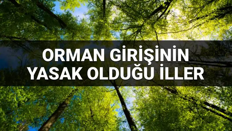 2025'te Ormana Girişi Yasaklanan İller: Nedenleri ve Sonuçları