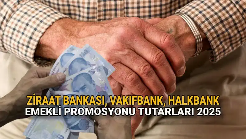 2025 Yılında Emeklilere Özel Promosyonlar: Kamu Bankaları Neler Sunuyor?