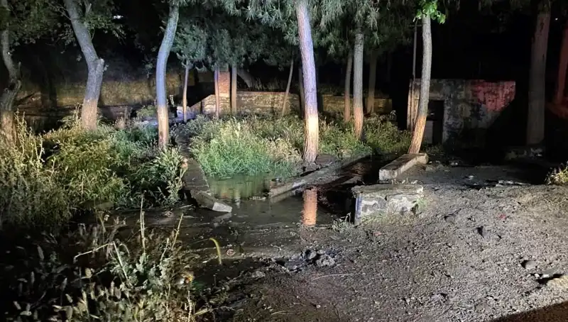 Manisa'da Parkta Şüpheli Ölüm: Sırrı Çözülemeyen Olay