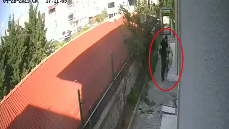 Veteriner Doktorun Şok Edici İhlali: Sahiplendiği Köpekleri Evde Parçaladı!